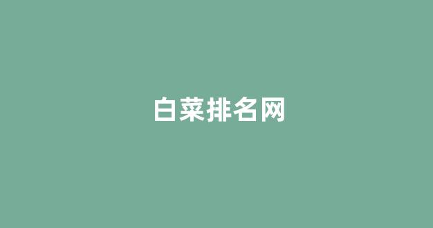 白菜公司排名